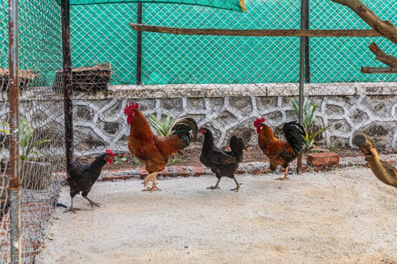 Saffronstays Serene Retreat, Alibaug อลีบาก ภายนอก รูปภาพ